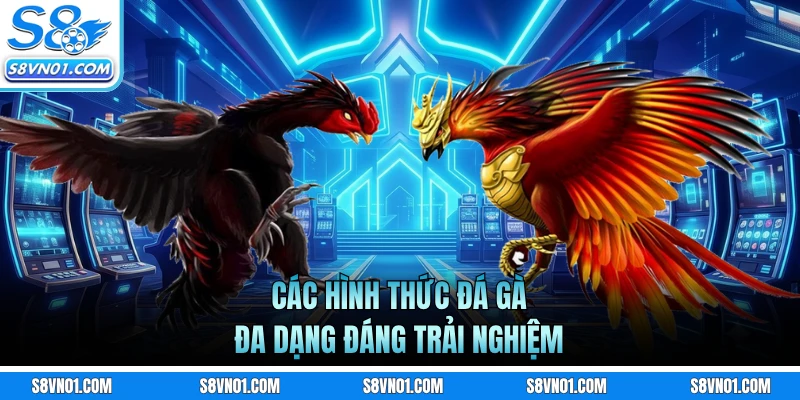 Các hình thức đá gà đa dạng đáng trải nghiệm